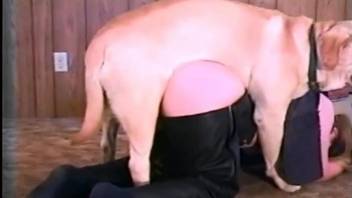 Crazy milf tapes herself during sex with the dog