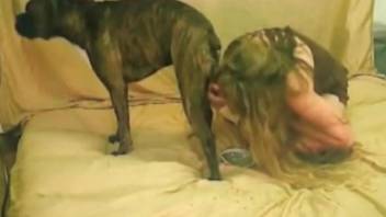 Doggy style fuck for a submissive zoophile blonde