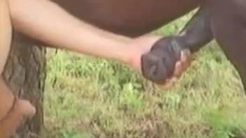 Stallion with a veiny cock fucking a brunette