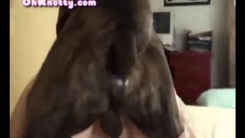 Hardcore zoofilic sex with a big black dog and hottie in stockings