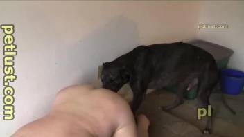 Chubby dude gets dicked by the Dane in a hot porn movie
