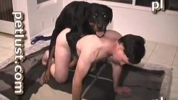 Dark rottweiler and dirty guy have amazing sex in doggy style