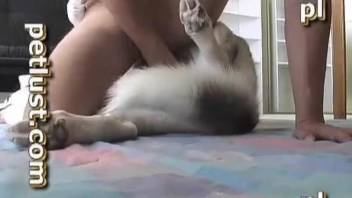 Husky and sexy zoophile have awesome sex in the bedroom