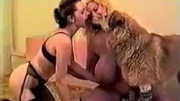 Blonde with massive jugs and her GF are fucking a dog