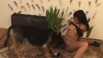 Trimmed pussy Latina gets ruined by a well-endowed dog