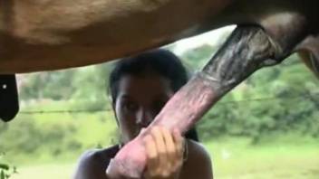 Latina in a dress sucking on a stallion's huge cock