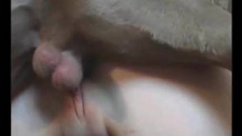 Tight woman feels her dog anal fucking her