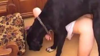 Aging zoophile enjoying hard anal with a dog