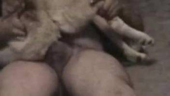 Hunk with a huge cock fucking his dog's pussy