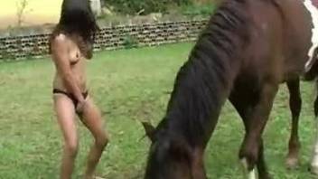 Slim babe suits her wet vagina with the horse cock
