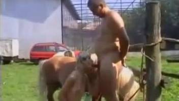 Skinny chick is watching how her hubby fucks a small pony