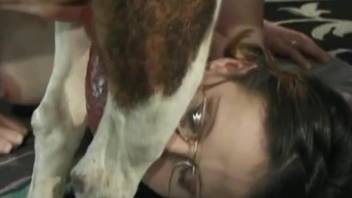 Librarian gives her sensual dog a really good blowjob