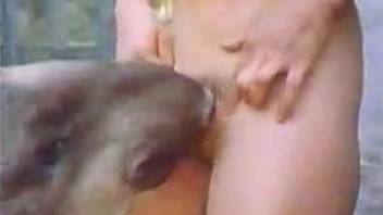 Vintage story-driven video with hot bestiality and more