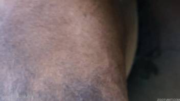 Guy finger-banging and pounding a female horse's slick tiny pussy