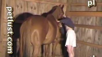 Hairy guy fucking a mare's yummy cunt from behind