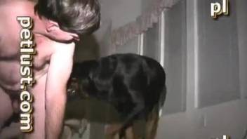 Hardcore gay anal in a twisted bestiality video