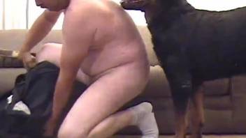 Hairy cock beast pleasured by a chubby daddy