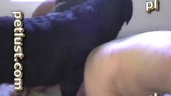 Man gets ass fucked by hos dog and he loves it