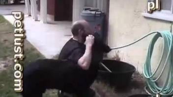 Big black doggy and perverted male have awesome bestiality sex