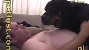 Handsome zoophilic guy is fucking with his Rottweiler