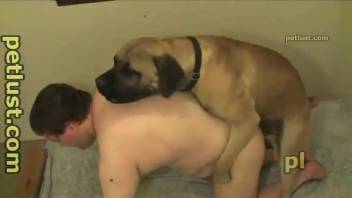 Fat zoophile dude cannot stop jerking his dog's dick