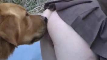 Skirt-wearing blonde gets drilled by a kinky dog