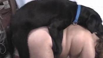 Horny babe with extremely wet pussy fucks a black dog