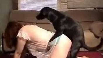 Two trained dogs are screwing tight holes of a lusty beauty