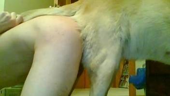 Slutty twink bottom getting fucked by a horny dog