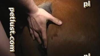 Bestial lover sticks his hard boner in a tight ass of a horse