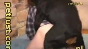Mature hottie with a tight butt gets fucked by a dog