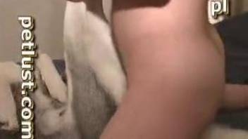 Real man and his lovely Husky have awesome amateur bestiality