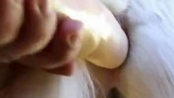 Beast enthusiast shoves a massive silicone cock into the pup's snug butthole