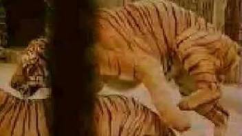 Watch amazing exotic bestiality sex of two real tigers