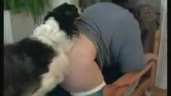 Obese masked lady has sex with her dog in the doggy position