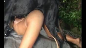 Trimmed Latina gets her tight ass fucked by a dog