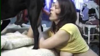 Big black dog with nice meaty dick gets sucked by brunette