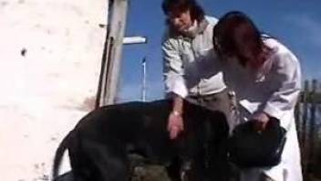 Trained black dog and redhead female have awesome sex