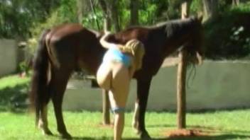 Big-bottomed blondie is standing naked and playing with a horse
