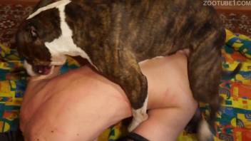 Premium canine intercourse clip featuring a hot disguised babe