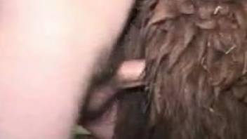 Horny guy cannot resist this animal's tight hole