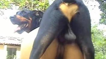 animal sex with girl