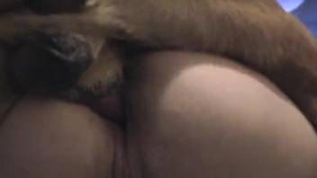 Pasty mommy getting ass-fucked by her kinky dog