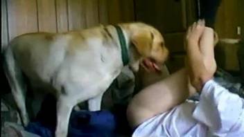 Hairy white doggy helps this zoofil slut to cum much quicker