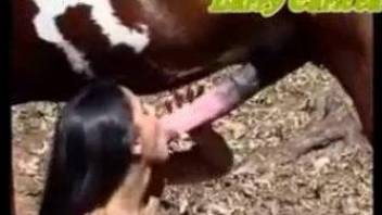 Dick-sucking farm girl is trying extremely big sausage of a stallion