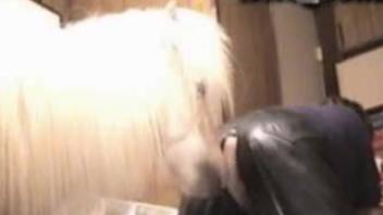 Female in leather pants gets impaled by awesome stallion dick