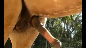 Hot blonde throats a big horse cock in sloppy modes