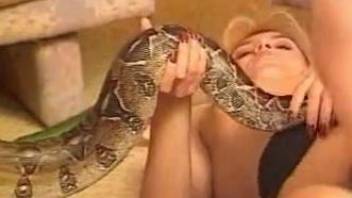 Sexy snake starring in a scene with two MILFs