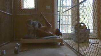 Helpless beauty getting boned behind bars by a dog