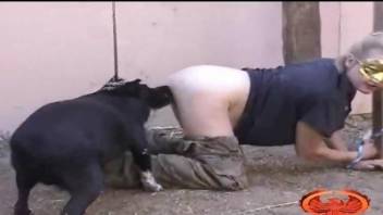 Masked slave blonde fucked by a chubby dog outdoors